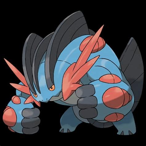 mega swampert smogon|best item for swampert.